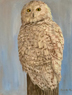 Bubo flew away