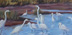 Egrets migrated